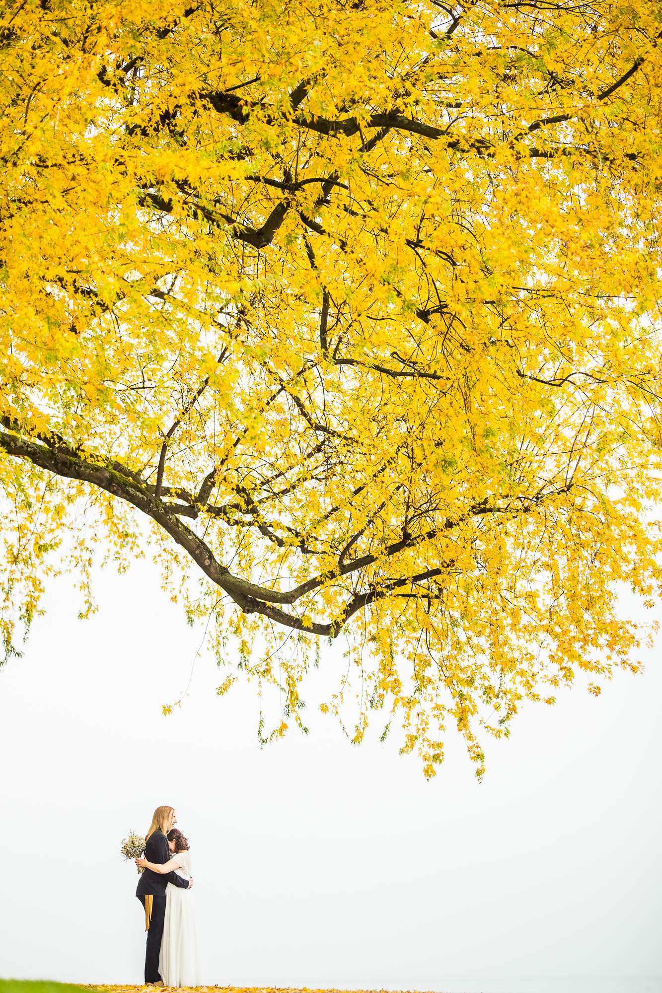 Export x3 1DX29378 Hochzeit 2020 Monika & Sharru